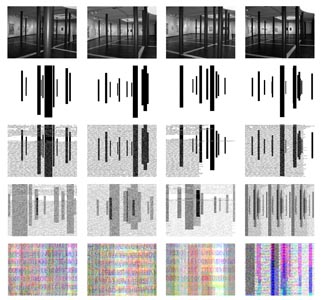 Los Cdigos del bosque_Impresin digital