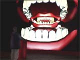 Stunt Dummies_Instalacin-juego interactiva multimedia