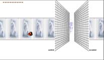Eveline, fragmnentos de una respuesta_Webart interactica con mix de lenguajes integrados